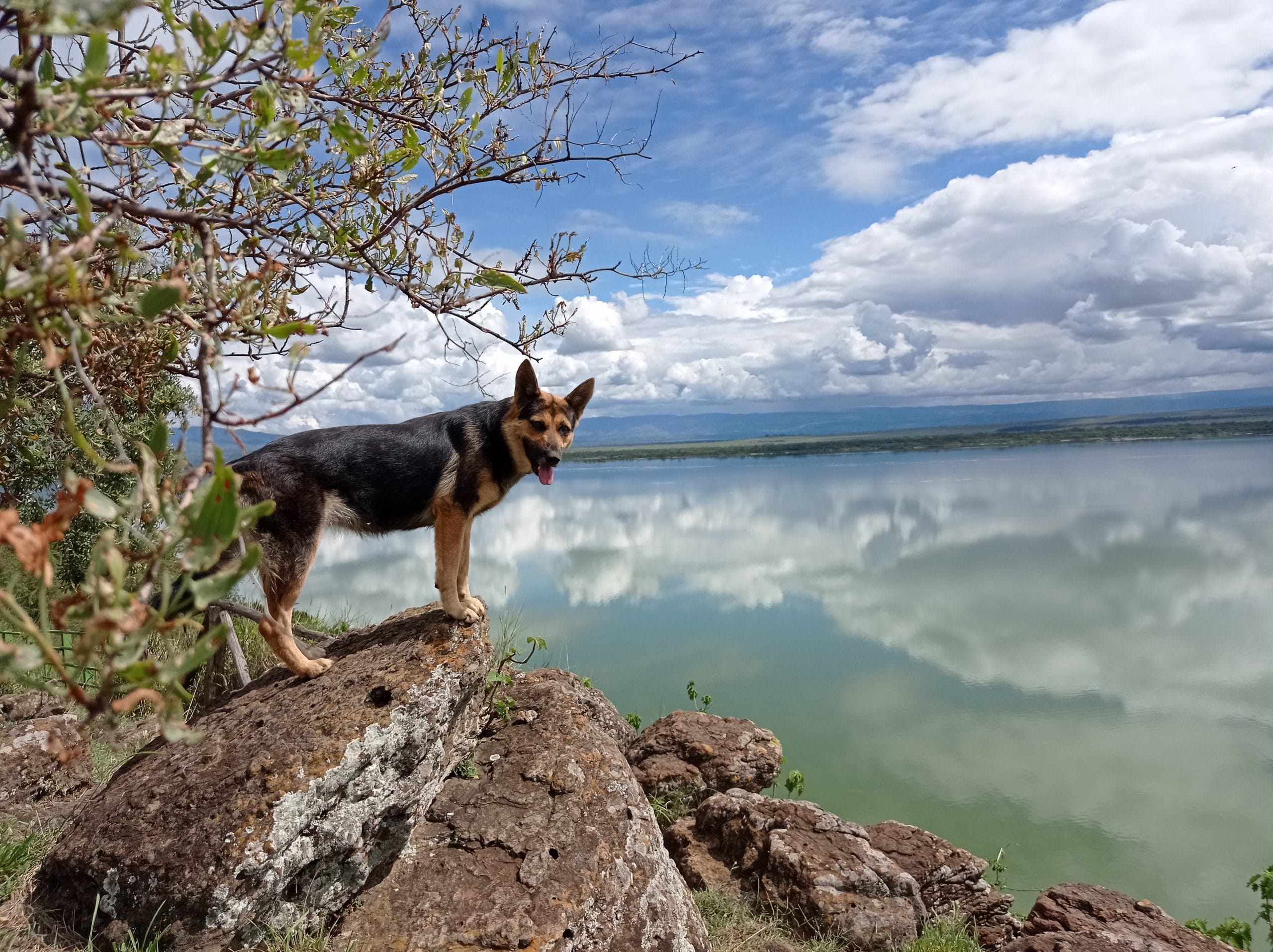 Lake Elementaita - Wandering Goddess